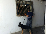 بالصور: قوى من الشرطة والوحدات الخاصة تُداهم غرف الصيادين في ميناء يافا 